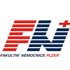 fn plzeň